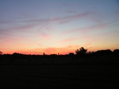 Puszta 3 Puszta 3