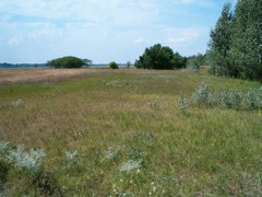 Puszta 4 Puszta 4