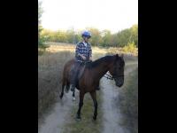 Im Wald mit Formi